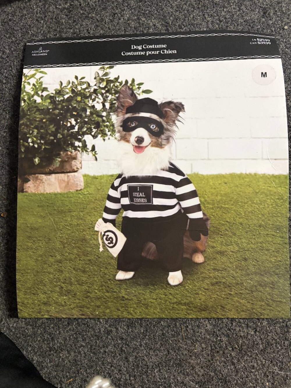 Dog Halloween Costume size Medium